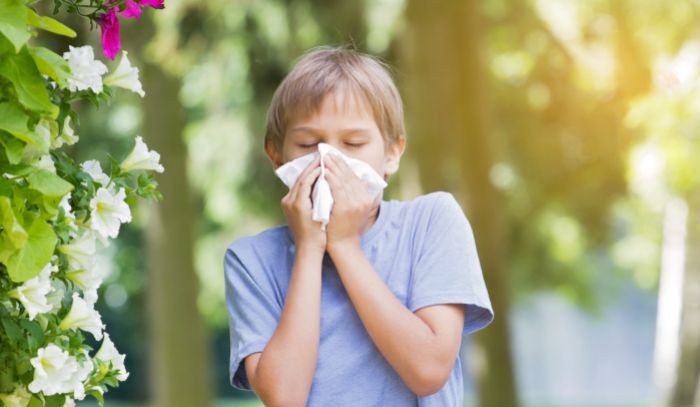 deti a alergia